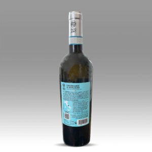 Teatro-Latino-Trebbiano-R